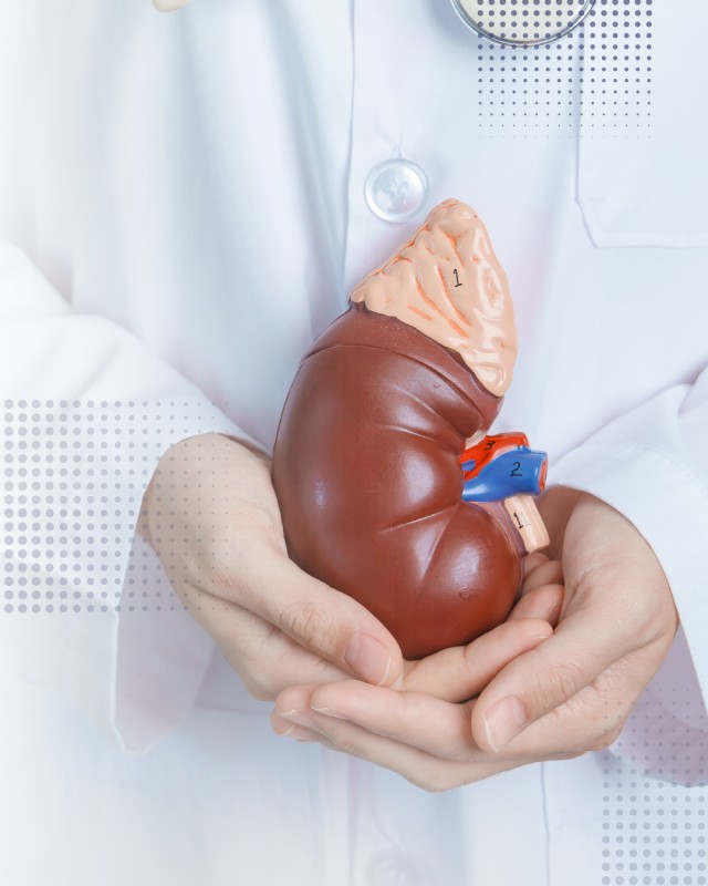 O que é e quais as indicações do Transplante Renal? salvador dr. davi seixas